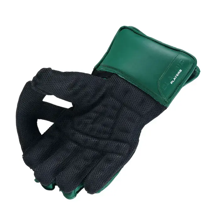 GrayNicollsClassicPlayersWicketkeepingGlove_4_700x_0525d3bf-178b-429f-b9d8-7078ea929e8c_700x.webp