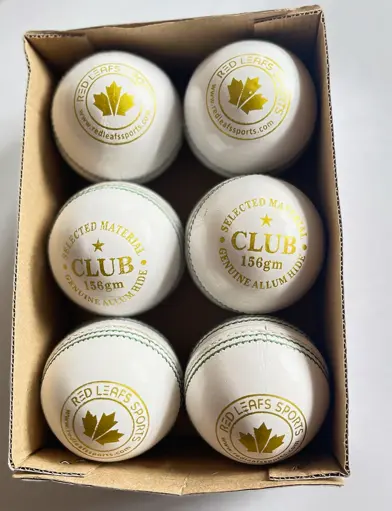 Screenshot 2025-10-29 160704.webp